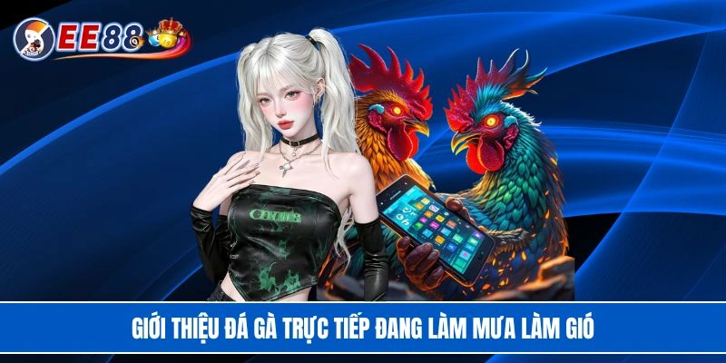 Giới thiệu đá gà trực tiếp đang làm mưa làm gió