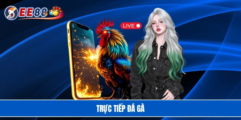 Trực tiếp đá gà